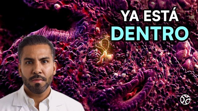 Video thumbnail: H. pylori: the bacterium living in your stomach right now that can cause cancer