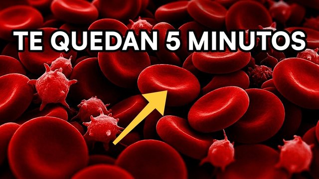 Video thumbnail: Oxygen: why your body shuts down when you stop breathing