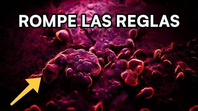 Video thumbnail: Cancer: the exact moment a cell betrays your body