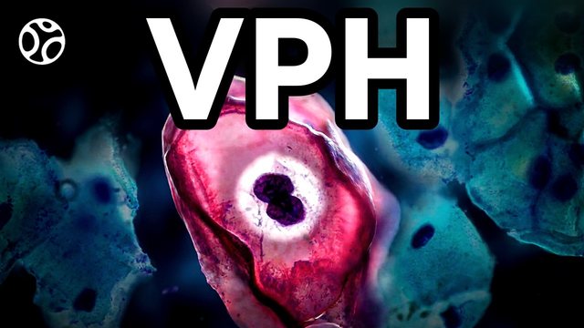 Video thumbnail: Human papillomavirus (HPV): we saw the virus almost everyone will get